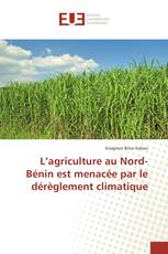 L’agriculture au Nord-Bénin est menacée par le dérèglement climatique
