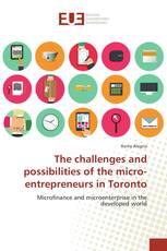 The challenges and possibilities of the micro-entrepreneurs in Toronto