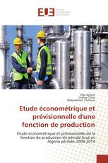 Etude économétrique et prévisionnelle d'une fonction de production