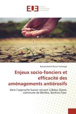 Enjeux socio-fonciers et efficacité des aménagements antiérosifs