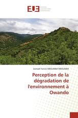 Perception de la dégradation de l'environnement à Owando