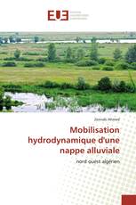 Mobilisation hydrodynamique d'une nappe alluviale