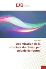 Optimisation de la structure du réseau par colonie de fourmi