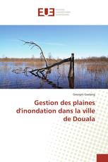 Gestion des plaines d'inondation dans la ville de Douala