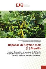 Réponse de Glycine max (L.) Merrill)