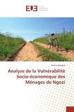 Analyse de la Vulnérabilité Socio-économique des Ménages de Ngozi