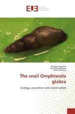 The snail Omphiscola glabra