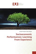 Socioeconomic Performances: Learning From Experience