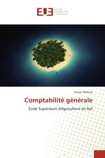 Comptabilité générale