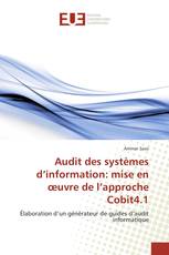 Audit des systèmes d’information: mise en œuvre de l’approche Cobit4.1