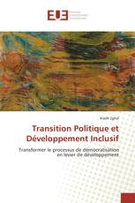 Transition Politique et Développement Inclusif