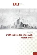 L’efficacité des sites web marchands