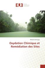 Oxydation Chimique et Remédiation des Sites