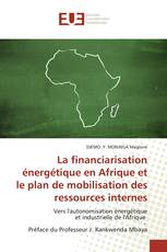 La financiarisation énergétique en Afrique et le plan de mobilisation des ressources internes