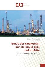 Etude des catalyseurs bimétalliques type hydrotalcite