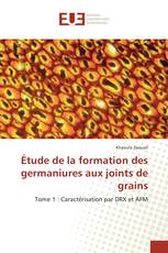 Étude de la formation des germaniures aux joints de grains