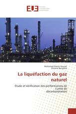 La liquéfaction du gaz naturel