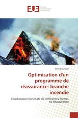 Optimisation d'un programme de réassurance: branche incendie