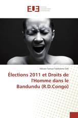 Élections 2011 et Droits de l'Homme dans le Bandundu (R.D.Congo)