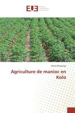 Agriculture de manioc en Kolo