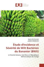 Étude d'Incidence et Sévérité de Wilt Bactérien du Bananier (BWX)