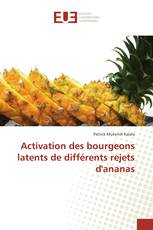 Activation des bourgeons latents de différents rejets d'ananas