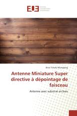 Antenne Miniature Super directive à dépointage de faisceau