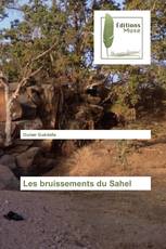 Les bruissements du Sahel