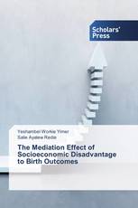 The Mediation Effect of Socioeconomic Disadvantage to Birth Outcomes