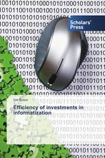 Efficiency of investments in informatization