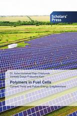 Polymers in Fuel Cells