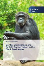 Gorilla, Chimpanzee and Buffalo Conservation in the Black Bush Areas