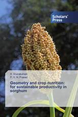 Geometry and crop nutrition: for sustainable productivity in sorghum