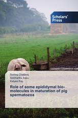 Role of some epididymal bio-molecules in maturation of pig spermatozoa