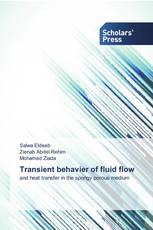 Transient behavier of fluid flow