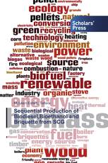 Sequential Production of Biodiesel,Bioethanol and Briquette from SCG