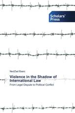 Violence in the Shadow of International Law