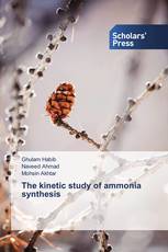 The kinetic study of ammonia synthesis