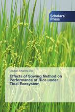 Effects of Sowing Method on Performance of Rice under Tidal Ecosystem