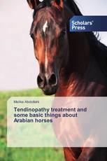 Tendinopathy treatment and some basic things about Arabian horses