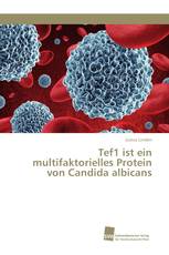 Tef1 ist ein multifaktorielles Protein von Candida albicans