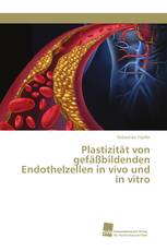Plastizität von gefäßbildenden Endothelzellen in vivo und in vitro
