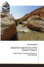 Wadi Bili Catchment in the Eastern Desert