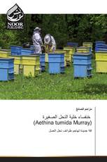 خنفساء خلية النحل الصغيرة (Aethina tumida Murray)