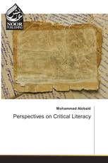 Perspectives on Critical Literacy
