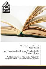 Accounting For Labor Productivity Growth Rate