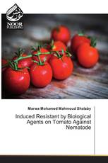 Induced Resistant by Biological Agents on Tomato Against Nematode