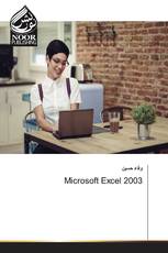 Microsoft Excel 2003