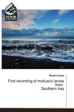 First recording of molluscs larvae from Southern Iraq