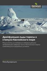Дрейфующие льды торосы и стамухи Каспийского моря